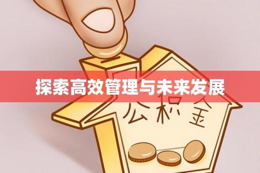 顺城探索高效管理与未来发展