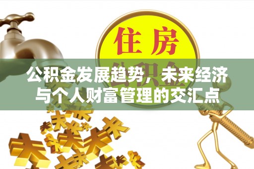 顺城公积金发展趋势，未来经济与个人财富管理的交汇点