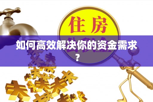 顺城如何高效解决你的资金需求？