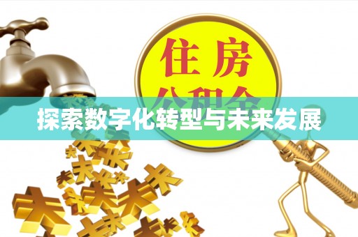 顺城探索数字化转型与未来发展