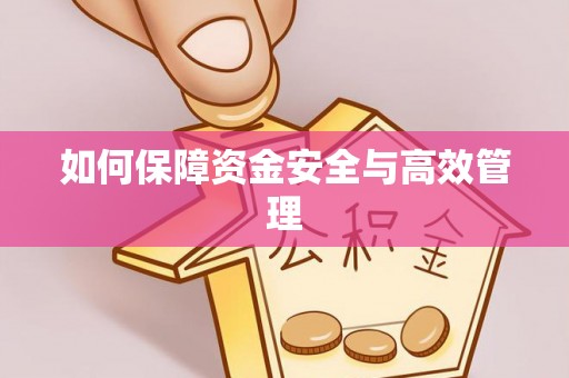 顺城如何保障资金安全与高效管理