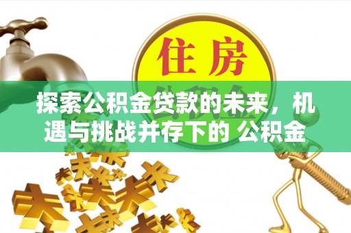 顺城探索公积金贷款的未来，机遇与挑战并存下的 公积金贷款风险防控