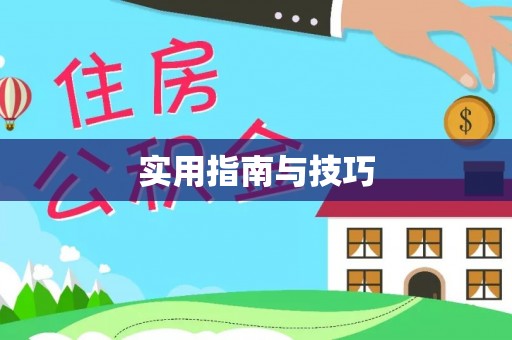 顺城实用指南与技巧