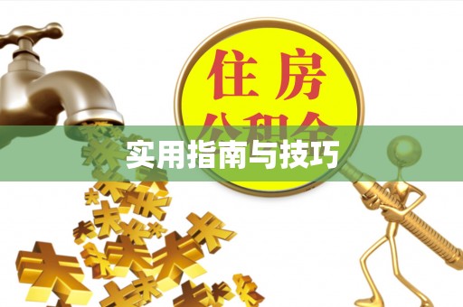 顺城实用指南与技巧