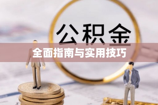 顺城全面指南与实用技巧