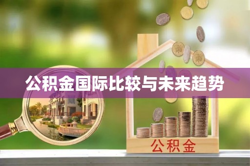 顺城公积金国际比较与未来趋势