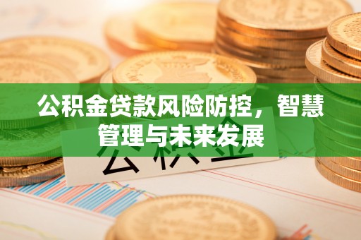 顺城公积金贷款风险防控，智慧管理与未来发展