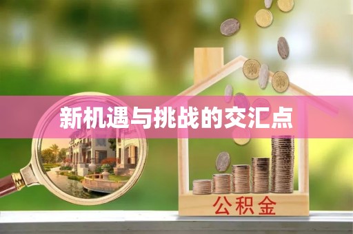 顺城新机遇与挑战的交汇点