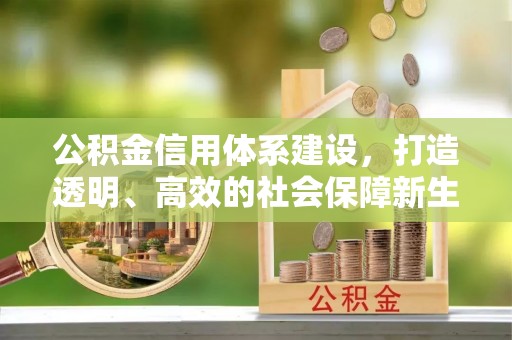顺城公积金信用体系建设，打造透明、高效的社会保障新生态