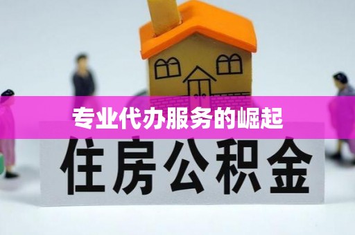 顺城专业代办服务的崛起