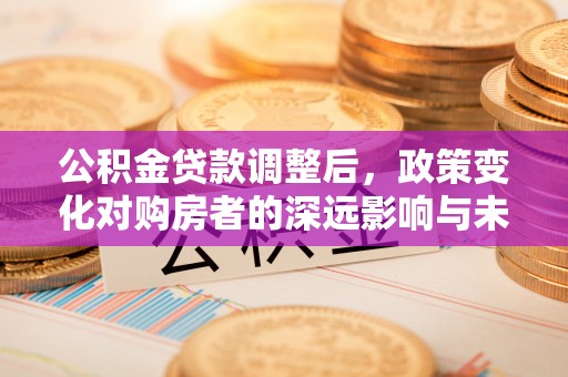顺城公积金贷款调整后，政策变化对购房者的深远影响与未来趋势分析