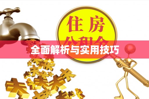 顺城全面解析与实用技巧