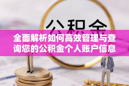 顺城全面解析如何高效管理与查询您的公积金个人账户信息