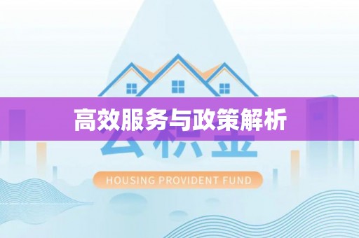 顺城高效服务与政策解析