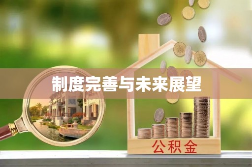 顺城制度完善与未来展望