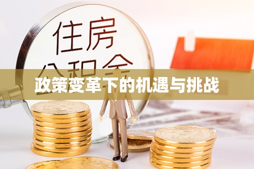 顺城政策变革下的机遇与挑战