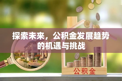 顺城探索未来，公积金发展趋势的机遇与挑战