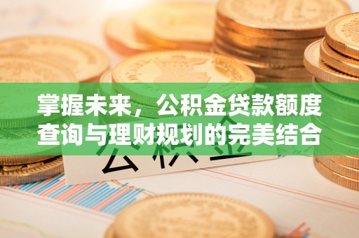 顺城掌握未来，公积金贷款额度查询与理财规划的完美结合