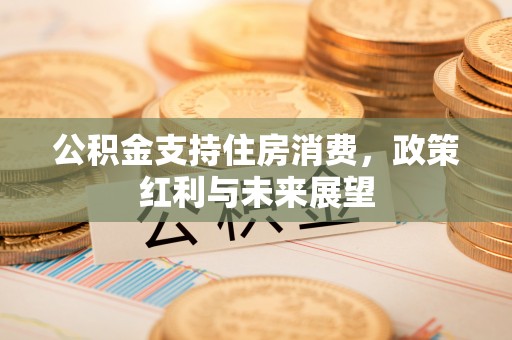 顺城公积金支持住房消费，政策红利与未来展望