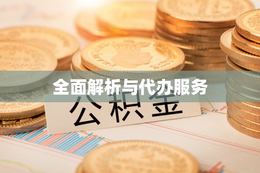 顺城全面解析与代办服务