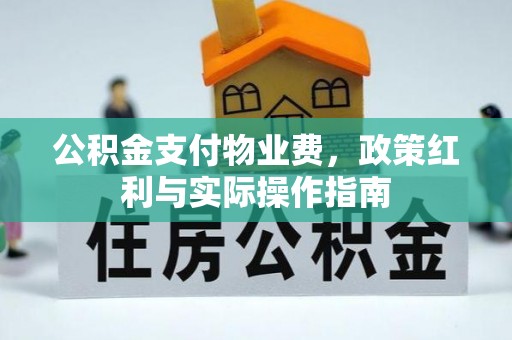 顺城公积金支付物业费，政策红利与实际操作指南