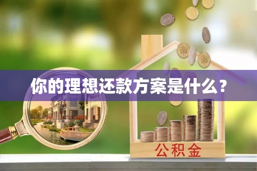 顺城你的理想还款方案是什么？