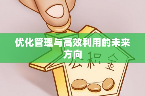顺城优化管理与高效利用的未来方向