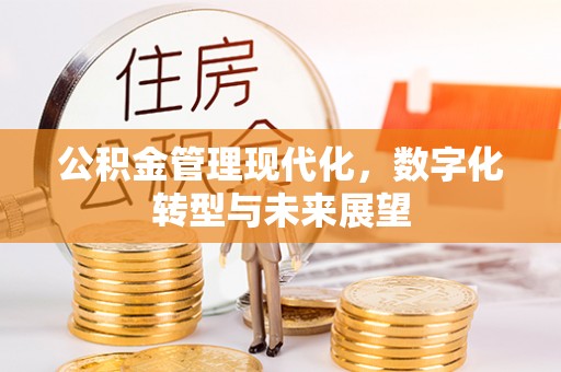 顺城公积金管理现代化，数字化转型与未来展望