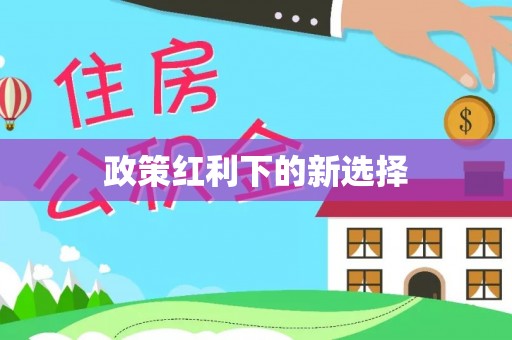 顺城政策红利下的新选择