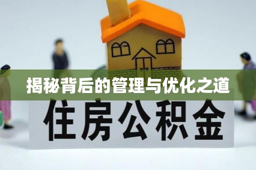 顺城揭秘背后的管理与优化之道