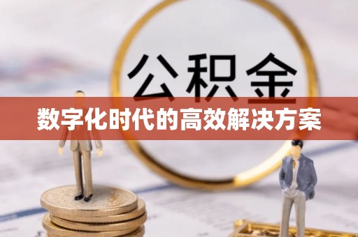 顺城数字化时代的高效解决方案