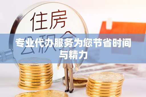 顺城专业代办服务为您节省时间与精力
