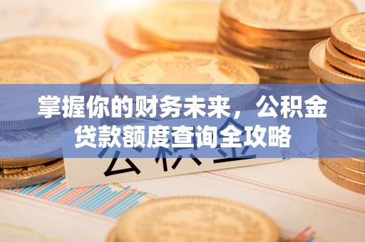 顺城掌握你的财务未来，公积金贷款额度查询全攻略