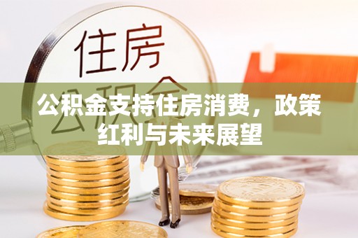 顺城公积金支持住房消费，政策红利与未来展望