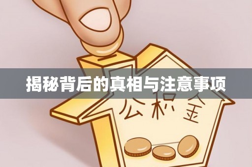 顺城揭秘背后的真相与注意事项