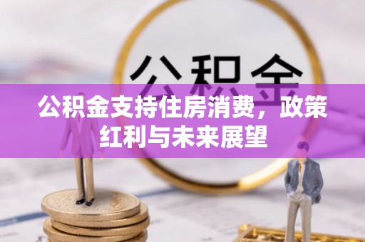 顺城公积金支持住房消费，政策红利与未来展望