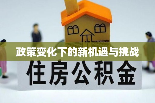 顺城政策变化下的新机遇与挑战
