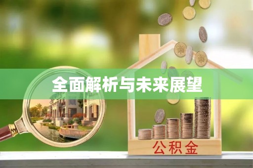 顺城全面解析与未来展望
