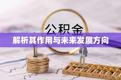 顺城解析其作用与未来发展方向