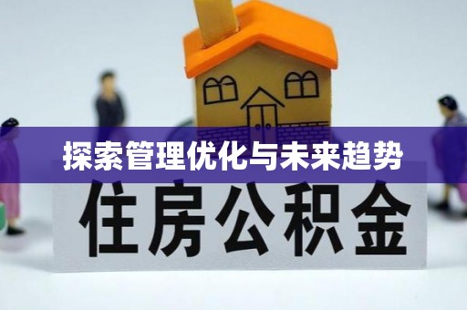 顺城探索管理优化与未来趋势